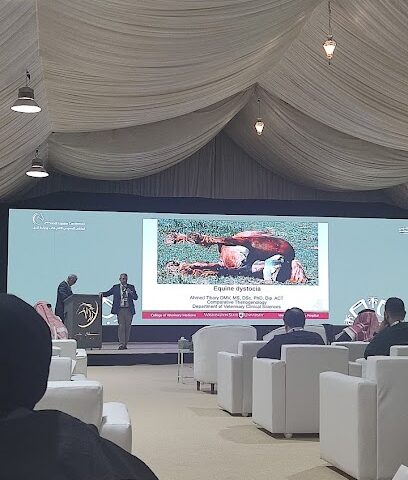 Apex Events Saudi - Riyadh - +966 11 217 5000