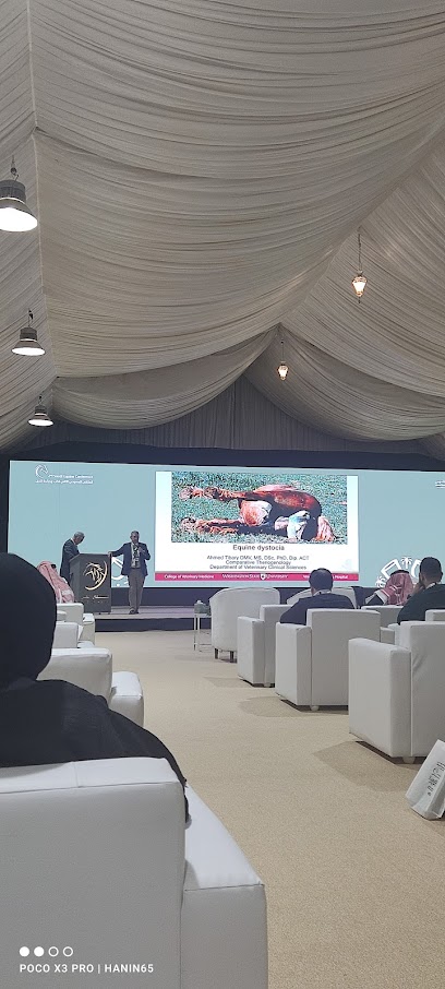 Apex Events Saudi - Saudi Arabia|Riyadh 12241|Al Olaya|3174 Prince Muhammad Ibn Abd Al Aziz