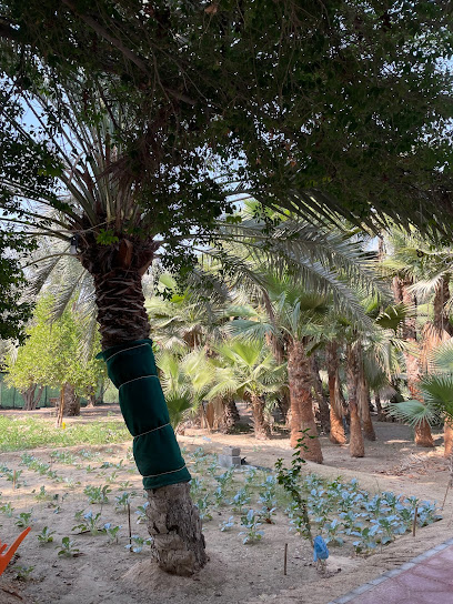 Abu Ahmad Family Farm - Saudi Arabia|Safwa 32828|Al Shura|MX74+VRX