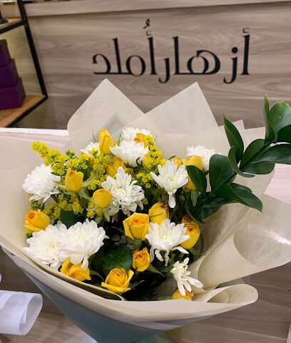 ازهار املد - Tabuk - +966 55 248 2380