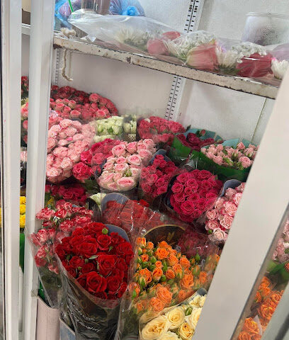 (1) عالم الزهور - Taif - +966 56 587 5164