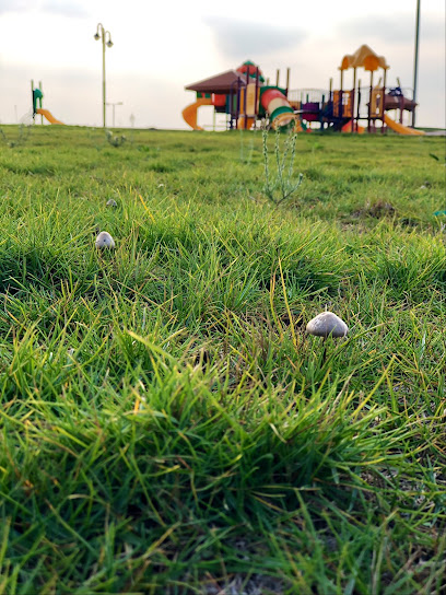 Al Dalfaa Park - Saudi Arabia|الضلفعة 52906|8MF8+Q59