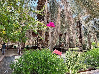 Osmanli Hurma Bahçesi - Al Madinah Al Munawwarah - +966 54 082 7226