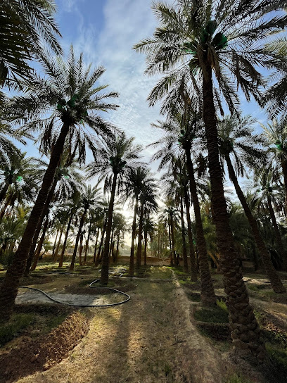 (ام عاير) أملاك الناصر - Saudi Arabia|Sudair Industrial And Business City 15337|HQQ8+W3