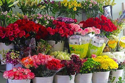 Rose life - Tabuk - +966 54 518 5891