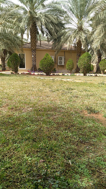 AlKhelewy’s Farm - Saudi Arabia|Riyadh 13783|Wadi Laban