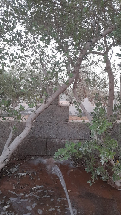 Abdullah Alhayyan - Saudi Arabia|39567
