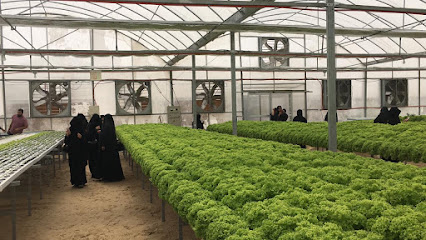 عالم حدائق بابل التجارية - Anak - +966 50 588 2001