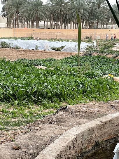 Ennessi Farm - Saudi Arabia|Riyadh 13711|6575|3153