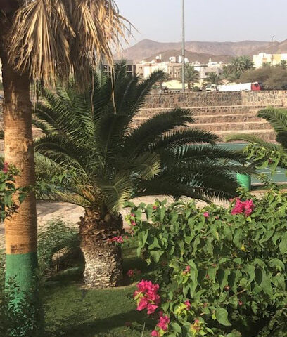Alsrana neighborhood park - Al Madinah Al Munawwarah -