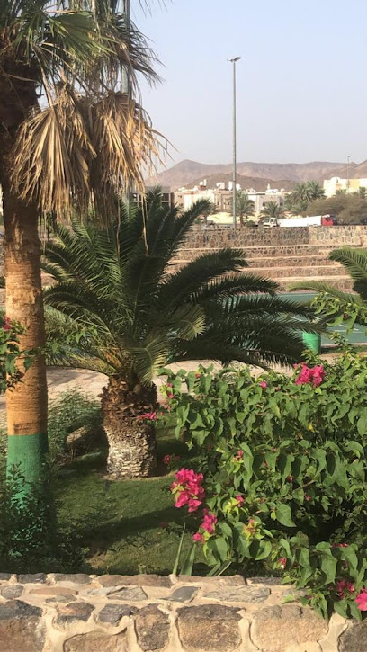Alsrana neighborhood park - Al Madinah Al Munawwarah 42333