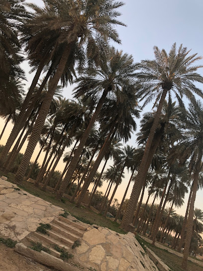 Fresh Vegetables Farm - Saudi Arabia|Riyadh 13711|Unnamed Road|PHJG+HJJ