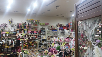 Abodi - Tabuk - +966 53 837 6333